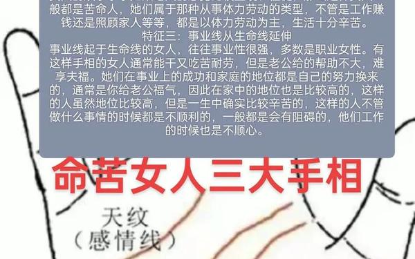 看面相算命有图,看手相算命图解 女性 看面相算命有图,看手相算命图解 女性