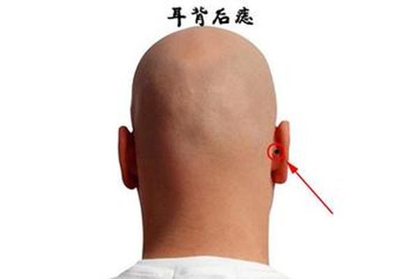 痣相 耳轮背的痣—耳轮后面的痣图解大全 痣相 耳轮背的痣—耳轮后面的痣图解大全