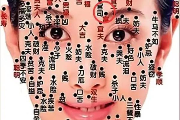 女人侧面部痣相;女士面部痣相图解