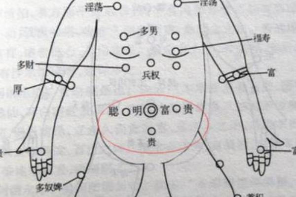长在肚子的痣相—肚子上的痣图解