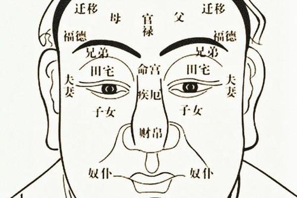 麻布神相头顶一颗痣,男孩头顶有一颗痣意味着什么