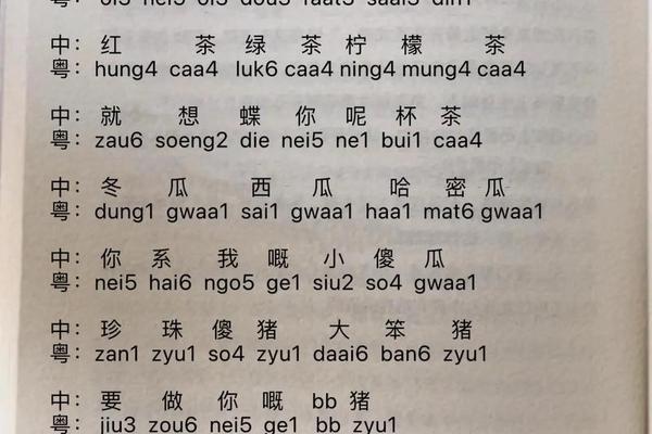 广州人姓名拼音写法