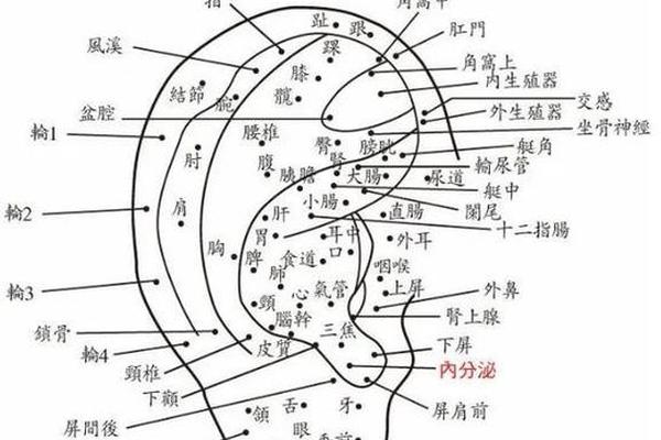痣相耳垂上有痣、耳垂反面有痣图解面相