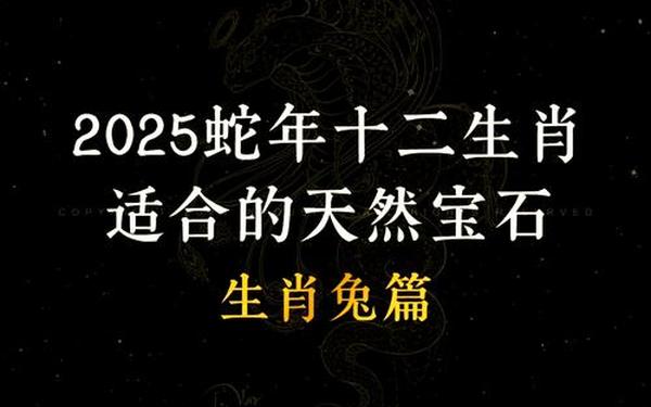 属兔今年财运怎么样2021(今年属兔的财运和运气如何2021年) 属兔今年财运怎么样2021(今年属兔的财运和运气如何2021年)