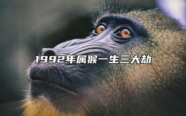 92年猴今日运程(92年的猴33岁有一劫) 92年猴今日运程(92年的猴33岁有一劫)