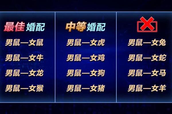 属鼠的和什么属相最配 热搜头条.com
