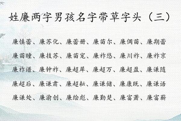 姓名解析之廉