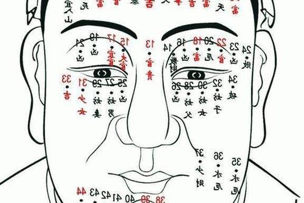 身上十大最好的痣相解析、男面部痣相解析图