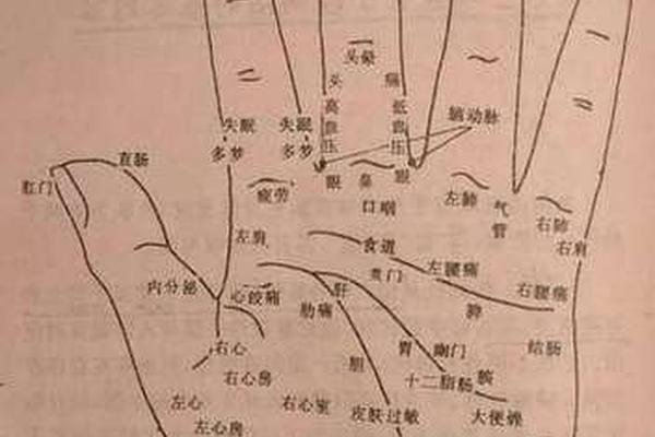 痣相男人手_男人手上有痣代表什么图解