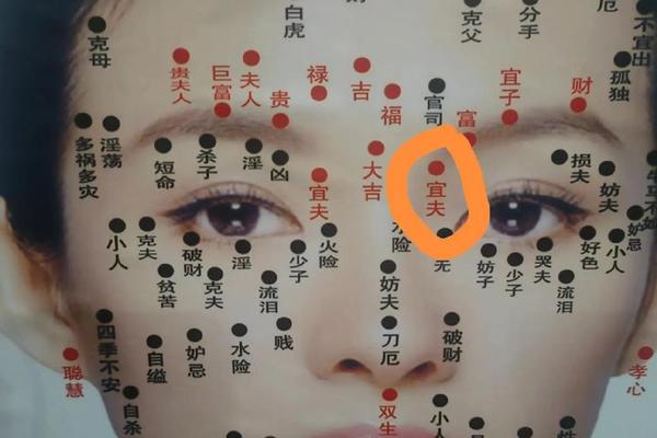肚脐右下的痣 痣相;痣相大全图解