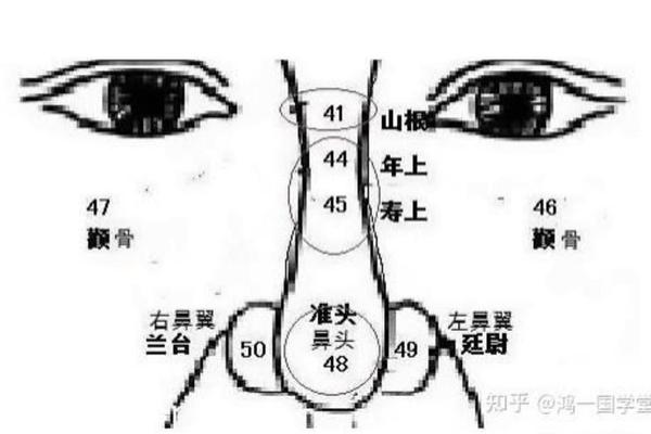 男人头侧面有痣相最准图_男人鼻子准头有痣代表什么