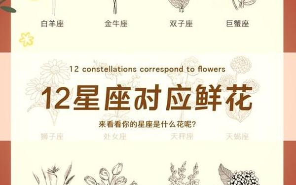五十六个星座五十六枝花是指什么（56个星座56支花）