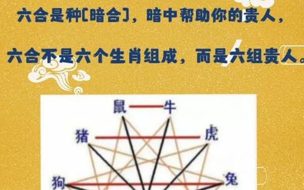 十二生肖3合6合对照表图 十二生肖3合6合对照表图