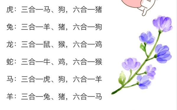 属猴的和什么属相最不相配-猴的六个合生肖,三合 属猴的和什么属相最不相配-猴的六个合生肖,三合