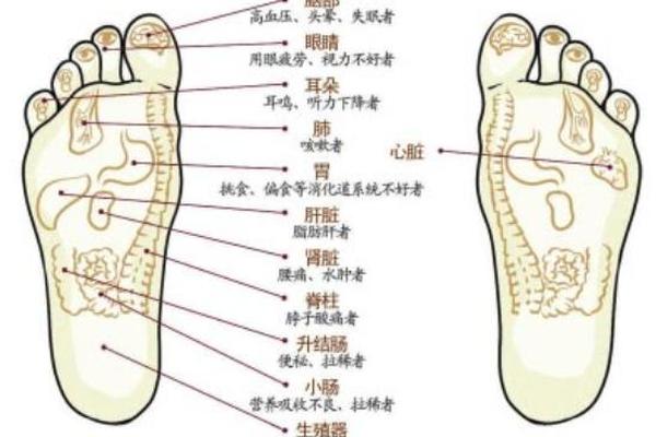 麻衣相法脚底长痣;麻衣神相图解