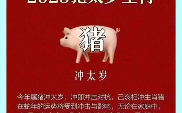 2025年属猪人适合投资吗 2025年属猪人适合投资吗