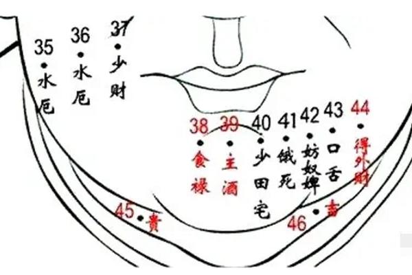 女人脸上的痣相代表什么_女人脖子上的痣全图解 女人脸上的痣相代表什么_女人脖子上的痣全图解