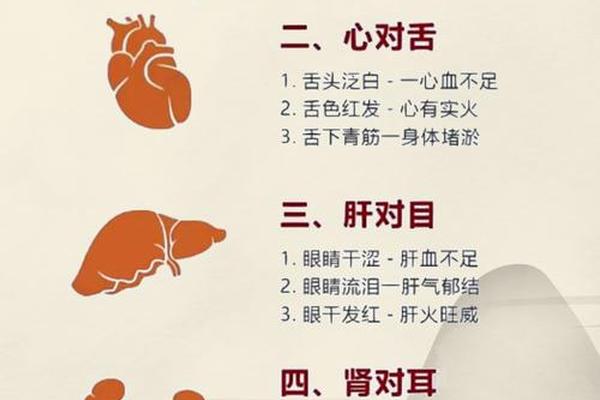 中医文化(中医文化的内涵和意义)