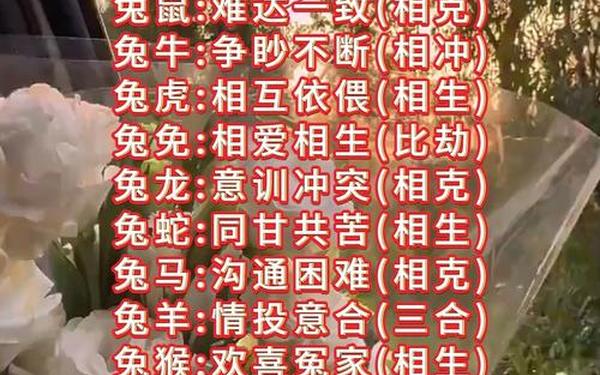 属兔的婚配最佳配对(1999属兔的姻缘) 属兔的婚配最佳配对(1999属兔的姻缘)