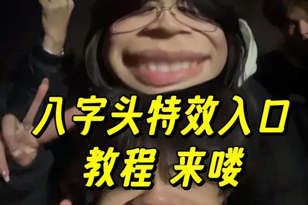 八字头打一字