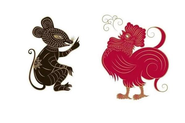 72年属鼠和81年属鸡相配吗