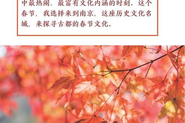 中国传统节日文化之旅 反映家文化的传统节日有哪些