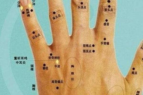 掌中痣相;手掌有痣图解 掌中痣相;手掌有痣图解