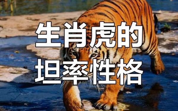 74年属虎人今年有难吗-74年属虎人51岁最难熬 74年属虎人今年有难吗-74年属虎人51岁最难熬