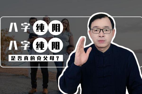 八字纯阳男