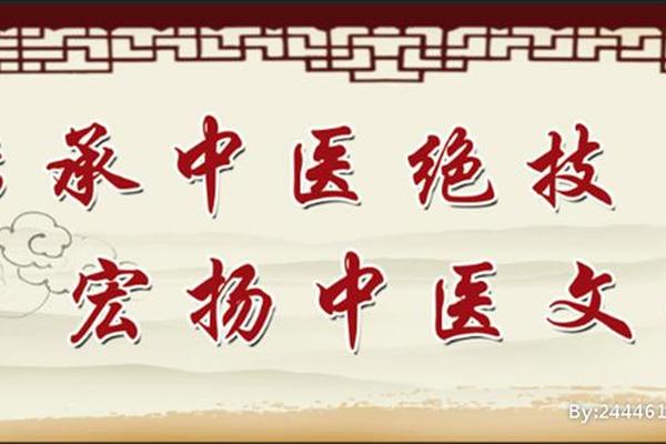 中医文化传承大全-中医传承祖训