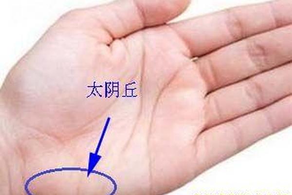 太阴丘痣相-手相太阴丘