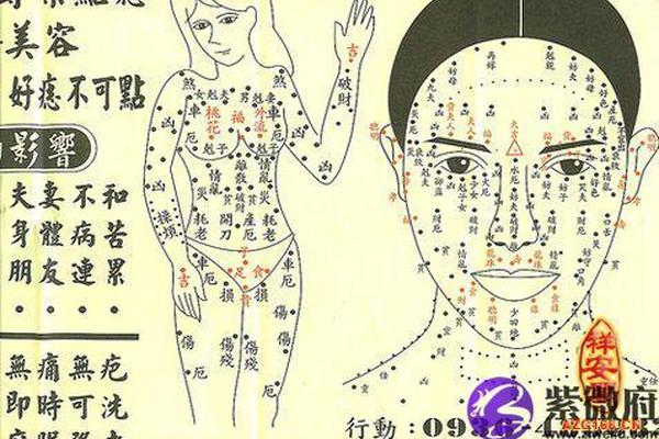 女人身体上痣相最准图_女人身体部位长痣全解