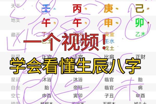 八字实例视频 八字实例视频