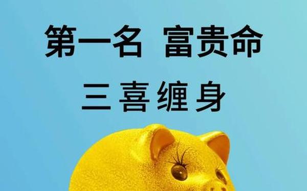 属猪是几年出生的 属猪是几年出生的