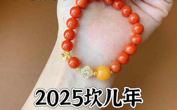 2025年属猪的要戴什么 2025年属猪的要戴什么