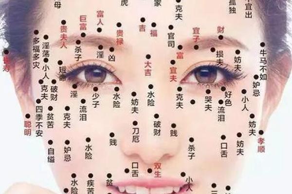 女人面相桃花痣相大全图解_女人面部桃花痣相最准图