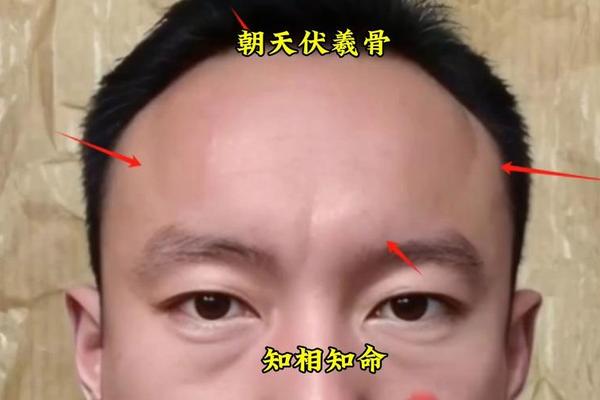 伏羲相痣、男人伏羲骨面相图解 伏羲相痣、男人伏羲骨面相图解