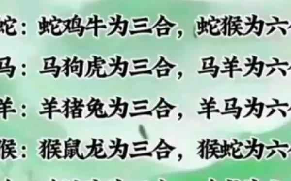 蛇和马属相合不合婚姻 蛇和马属相合不合婚姻