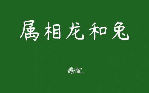 属兔的和属龙的相配吗 属兔的和属龙的相配吗