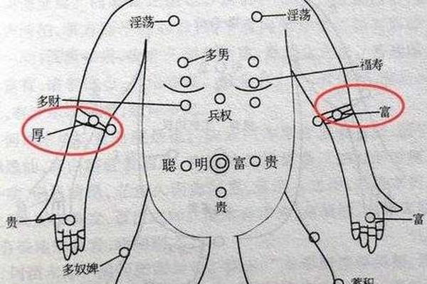 手臂内侧痣相解说图-手臂内侧有痣是什么痣