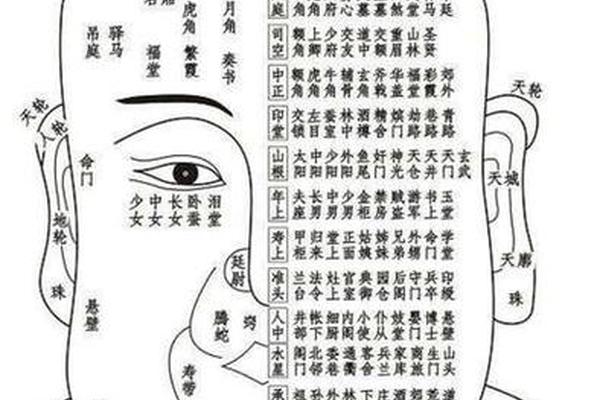 麻衣神相痣双生;麻衣神相 痣