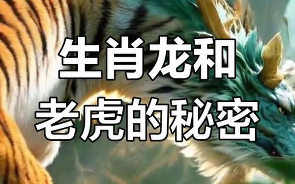 男虎98女龙00能结婚吗-98虎2000龙结婚的后果 男虎98女龙00能结婚吗-98虎2000龙结婚的后果