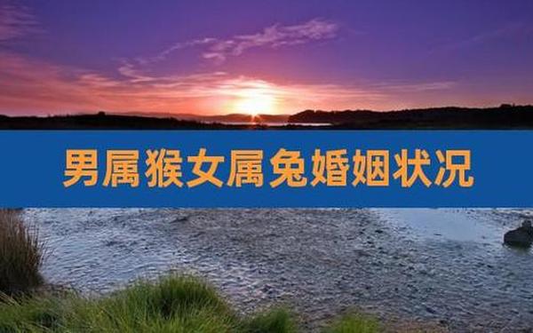 属猴的跟属兔的好吗-谁能压住属猴人 属猴的跟属兔的好吗-谁能压住属猴人