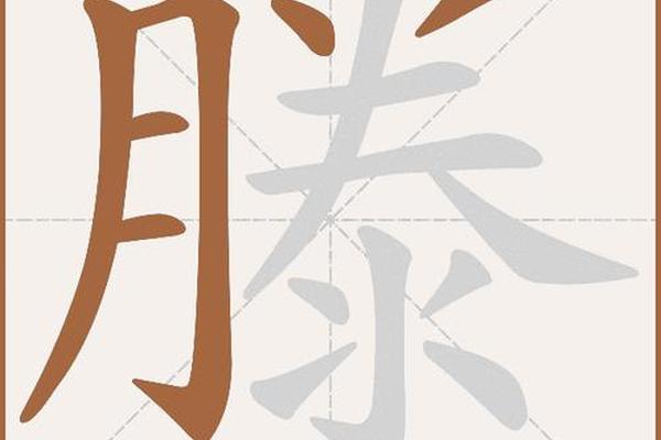 滕是姓名还是藤是姓名呢