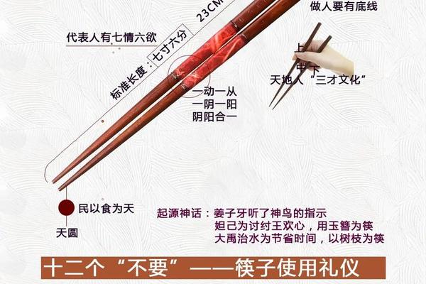 筷子的文化知识—筷子种类有哪些