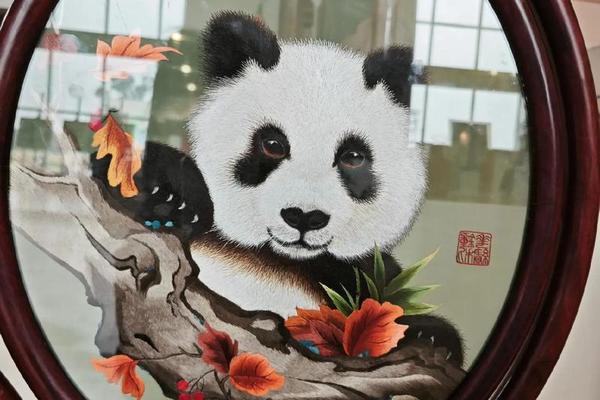 刺绣文化遗产介绍100字左右—刺绣一般值多少钱