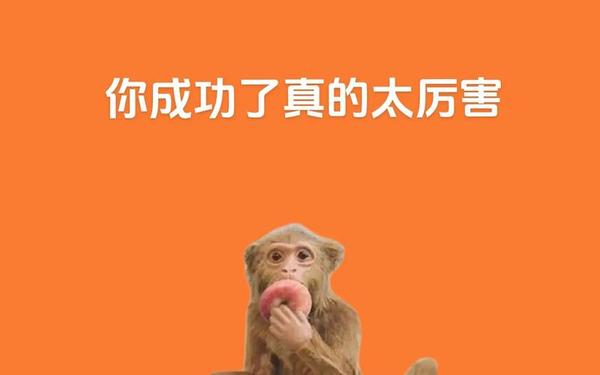 68年猴子多大,68年的猴死于哪一年 68年猴子多大,68年的猴死于哪一年