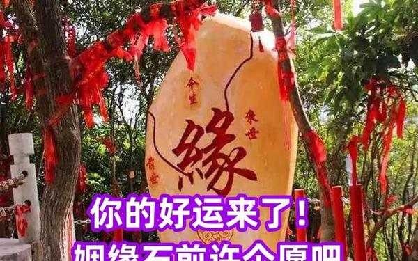 87兔二婚正缘出现时间 87兔二婚正缘出现时间