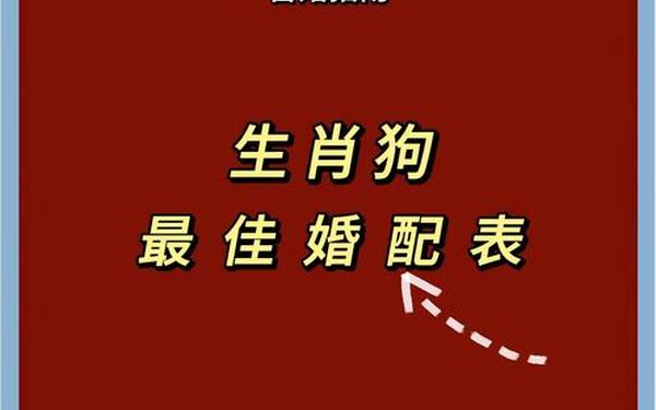 属狗和属兔合不合结婚好不好 属狗和属兔合不合结婚好不好