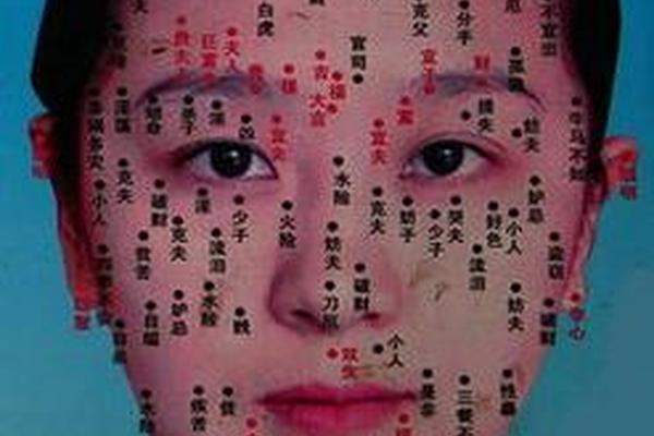 右边眉毛长肉痣相、眉毛周围的痣图解 右边眉毛长肉痣相、眉毛周围的痣图解